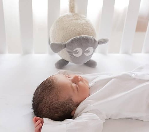 Ewan The Dream Sheep Case Study